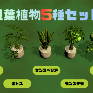観葉植物5種セット